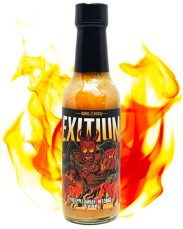 Burn's McCoy Exitium